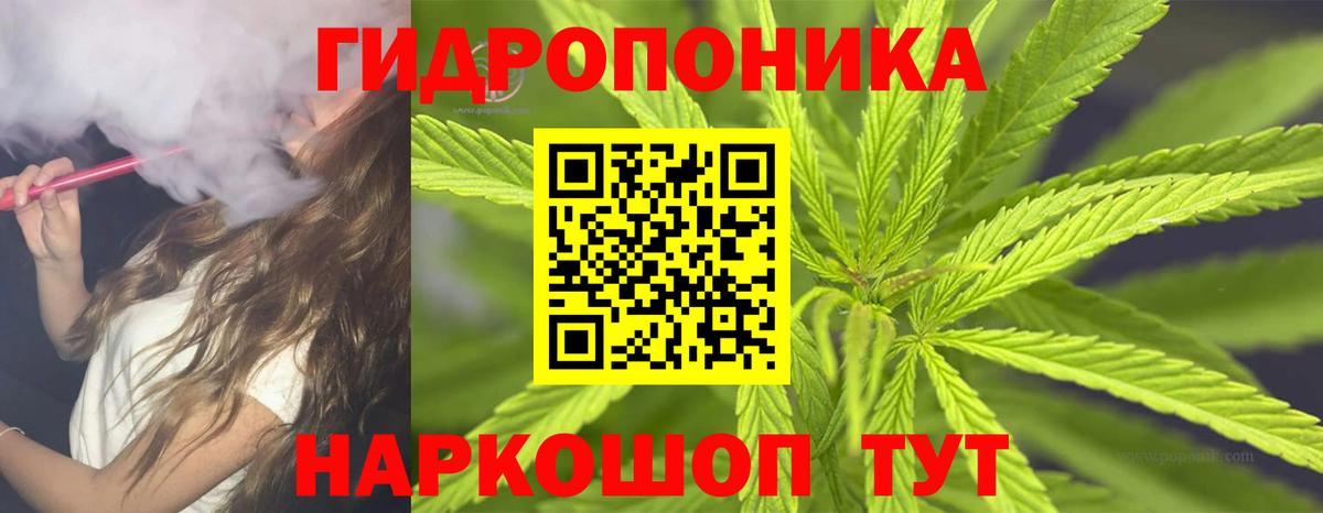 Семилуки  Шишки марихуана конопля  Конопля конопля  Вход с VPN  Конопля ГИДРОПОН 